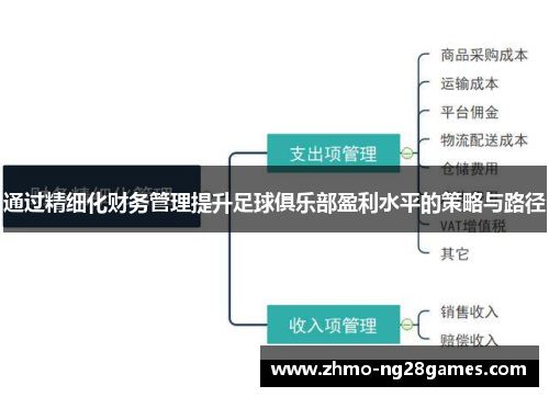 通过精细化财务管理提升足球俱乐部盈利水平的策略与路径