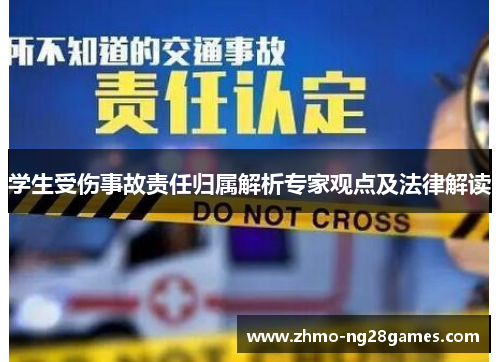 学生受伤事故责任归属解析专家观点及法律解读